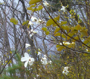 b0099994_10591323.jpg