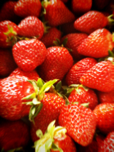 b0063997_2013354.jpg