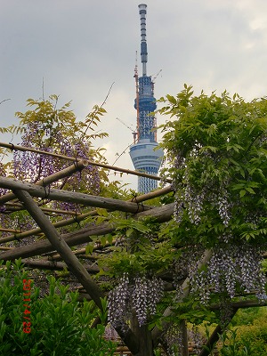 d0141800_182605.jpg