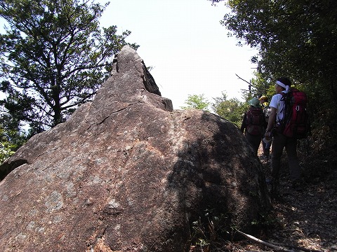 f0187402_8464662.jpg