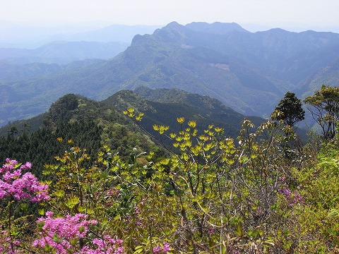 f0187402_847278.jpg