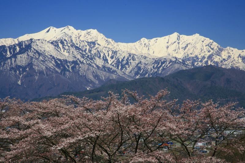 a0188405_11353156.jpg