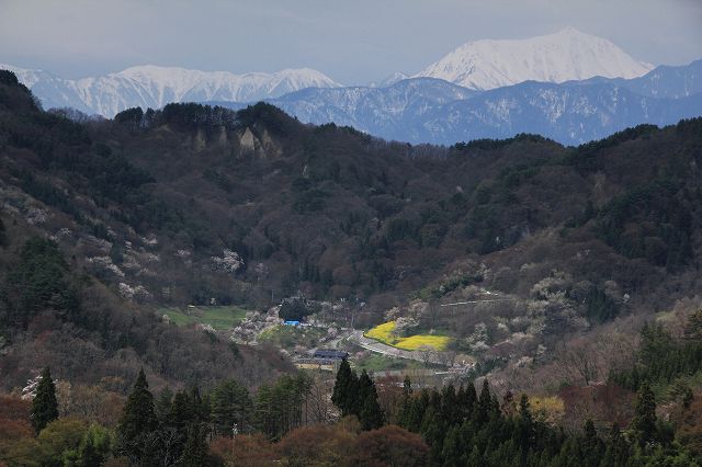 a0188405_114483.jpg