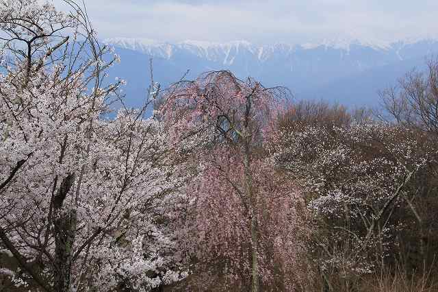 a0188405_8464613.jpg