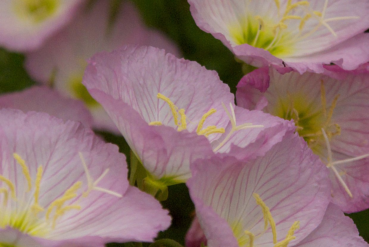 b0174905_17231389.jpg