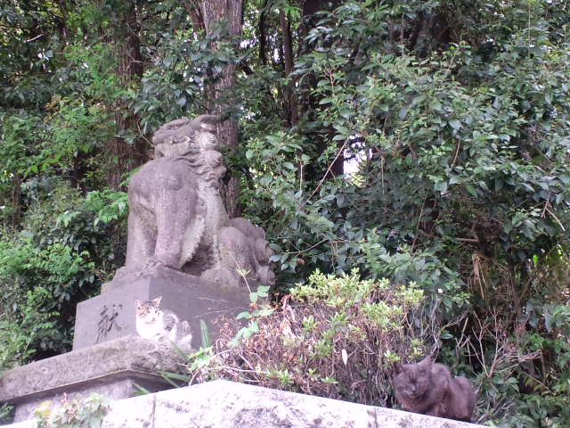 a0088007_20502276.jpg