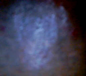 e0103408_13401834.jpg