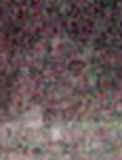 e0103408_1461028.jpg