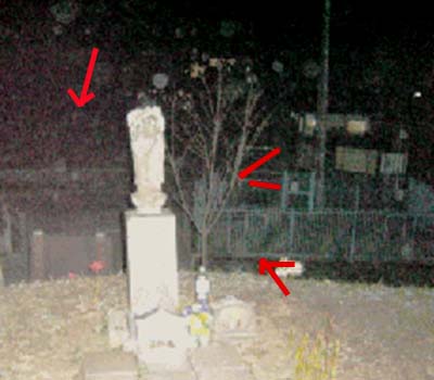 e0103408_1462034.jpg
