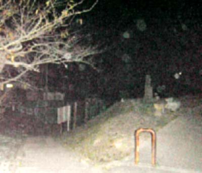 e0103408_1463051.jpg