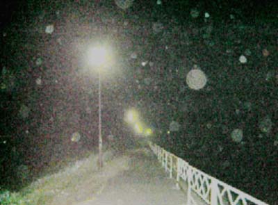 e0103408_1463911.jpg