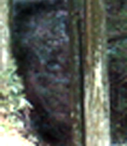 e0103408_16454742.jpg