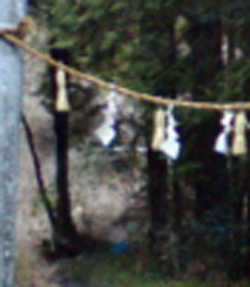 e0103408_16561279.jpg
