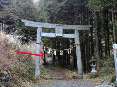 e0103408_1656223.jpg