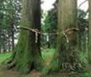 e0103408_1657364.jpg