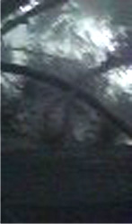 e0103408_16592264.jpg