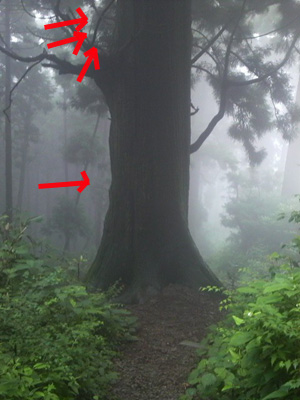 e0103408_16594389.jpg