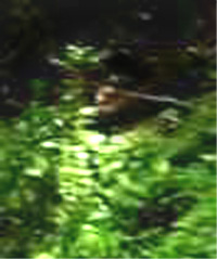 e0103408_1704094.jpg