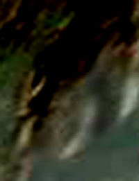 e0103408_1711072.jpg