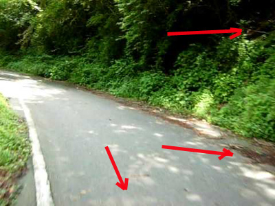 e0103408_1712096.jpg