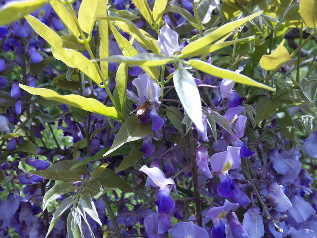 f0232910_19292611.jpg