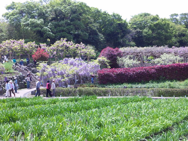f0232910_199192.jpg