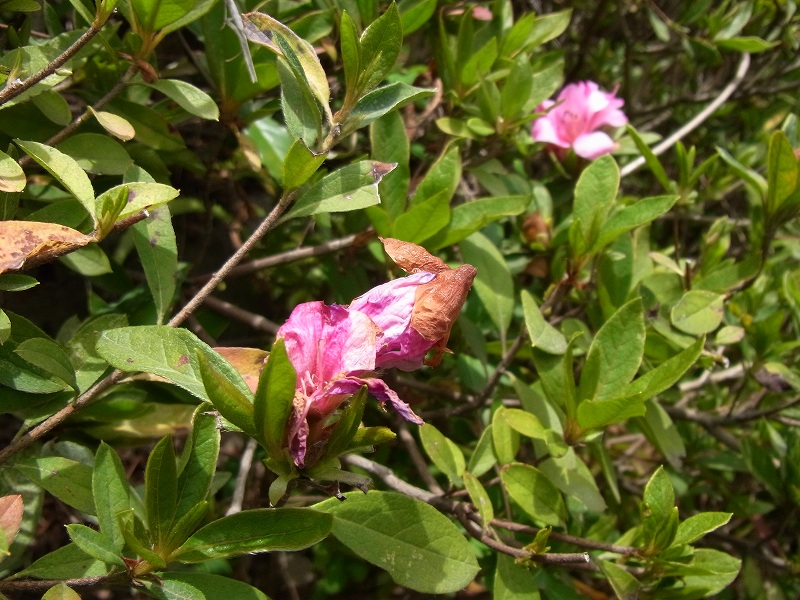 d0059213_22421768.jpg