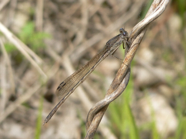 e0002314_20252243.jpg
