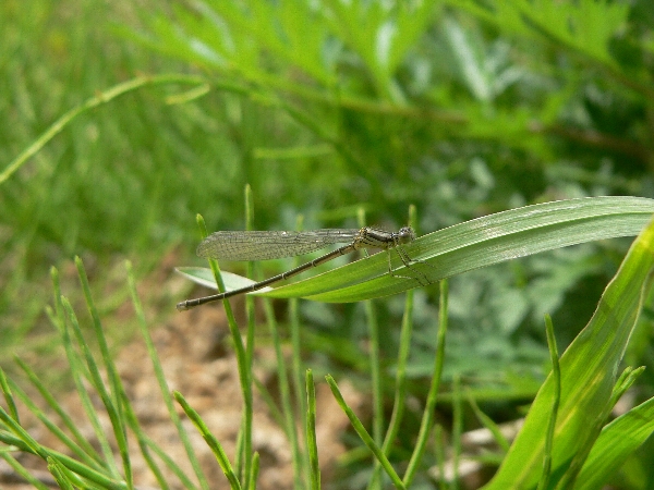 e0002314_20285079.jpg