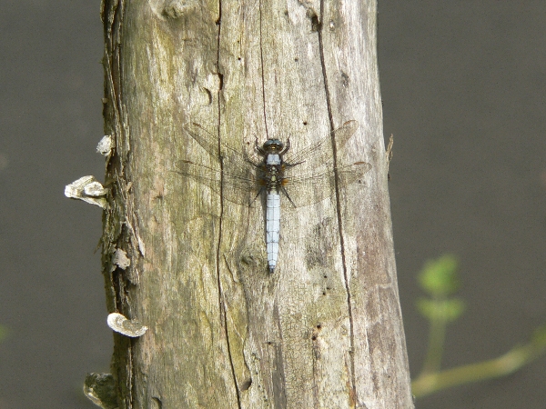e0002314_20325050.jpg