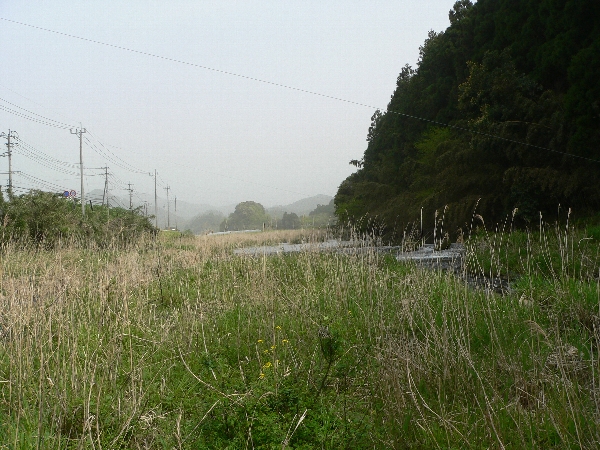 e0002314_20372158.jpg