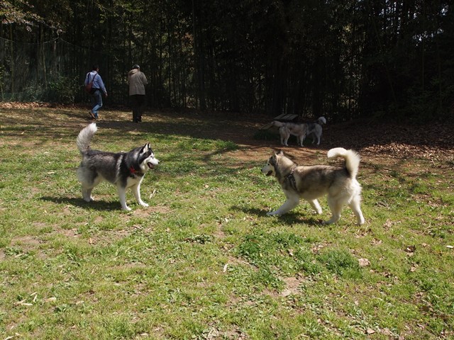 b0207615_11344691.jpg