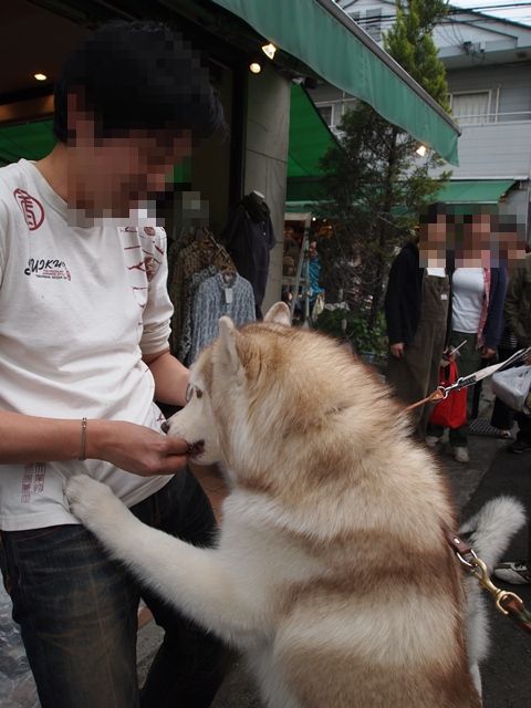 b0207615_17224759.jpg