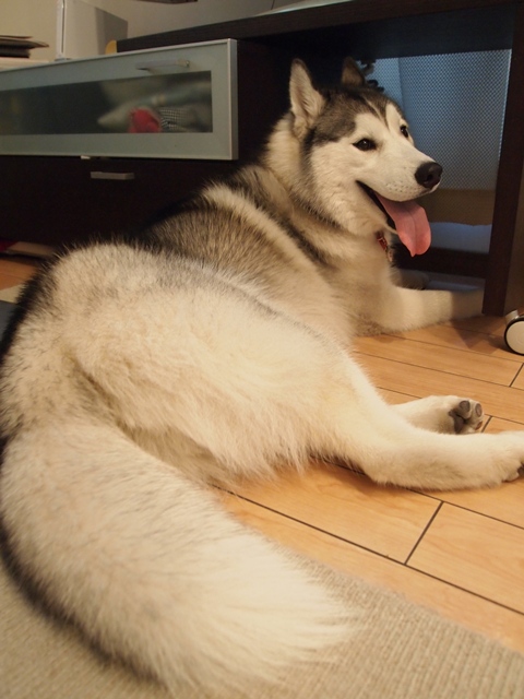 b0207615_18375892.jpg