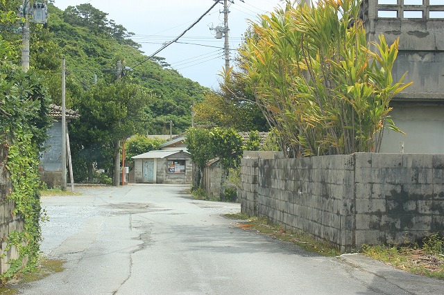 d0225318_9442655.jpg