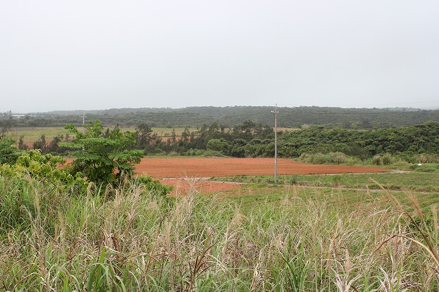 d0225318_947269.jpg