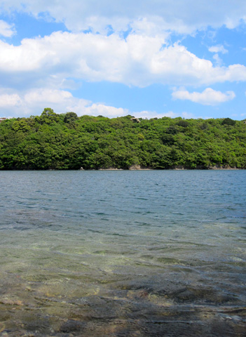 b0186119_15514029.jpg