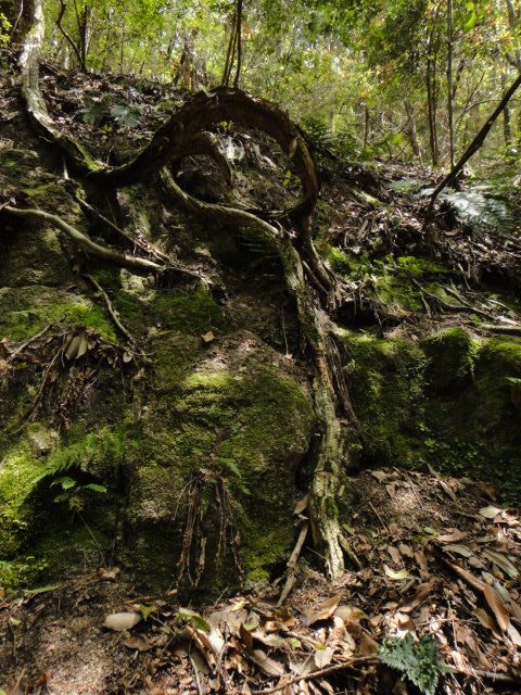 c0189724_16263294.jpg