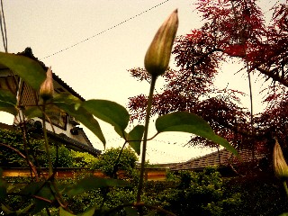 a0098027_17203062.jpg