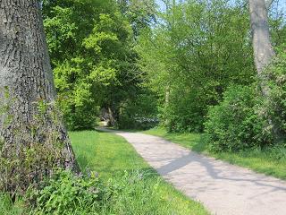 c0051529_61231.jpg