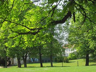 c0051529_62369.jpg