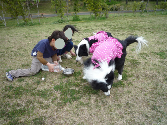 d0059230_8554312.jpg