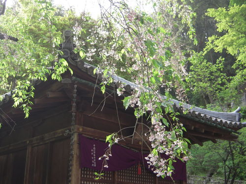 b0025633_22104299.jpg
