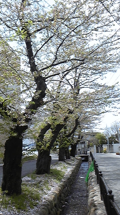 f0161333_12562755.jpg