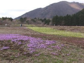 d0093936_1722010.jpg
