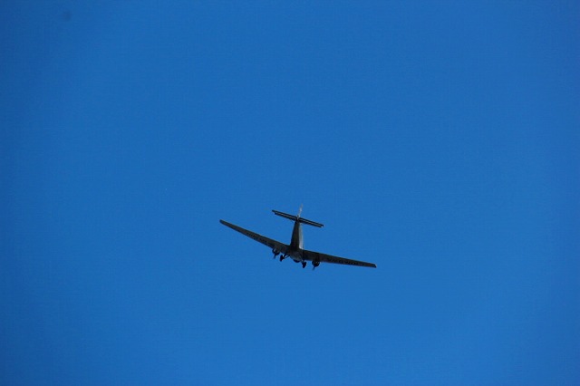 c0153740_1815622.jpg