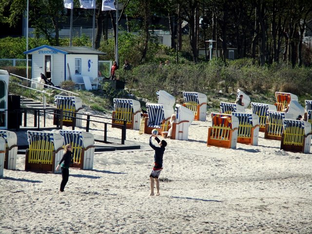 f0210340_514727.jpg