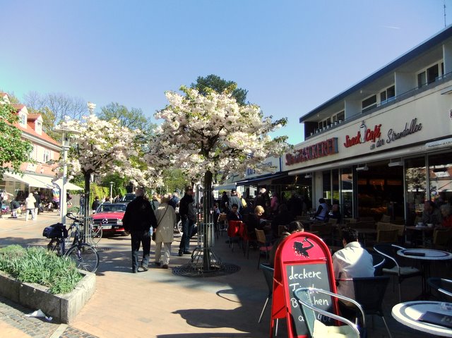 f0210340_516593.jpg