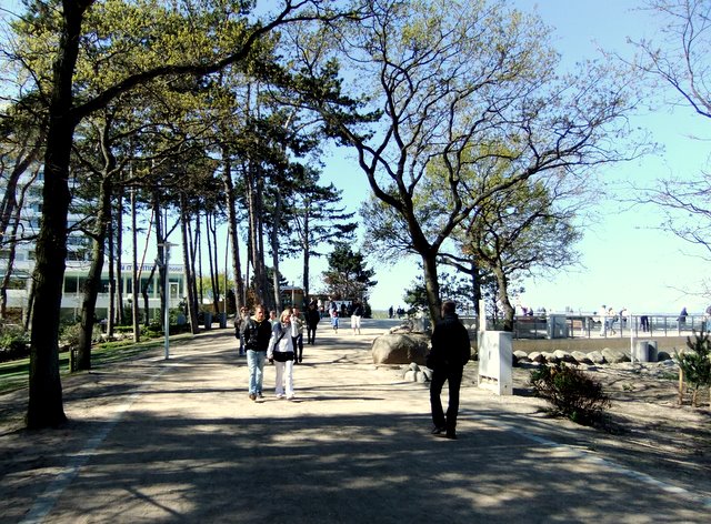 f0210340_584820.jpg