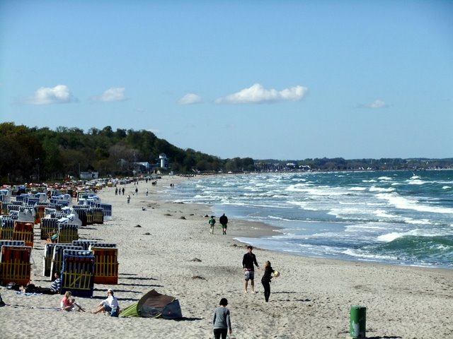 f0210340_595539.jpg